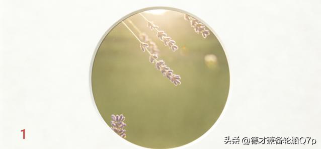  肢体微动作里的关系密码：四个维度解码亲密程度 情感心理