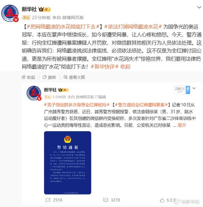  31岁跳水爱好者被拘10日：深度剖析网络暴力事件背后的法律边界与技术应对 新闻