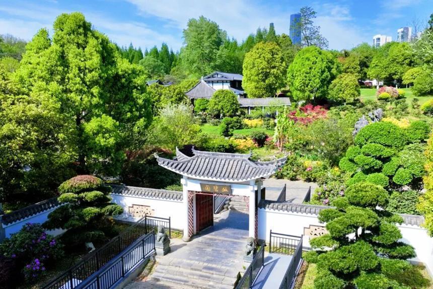  观山湖“莫奈花园”的园艺密码：60余种杜鹃如何编织春日画卷 文化旅游 观山湖“莫奈花园”的园艺密码：60余种杜鹃如何编织春日画卷 文化旅游
