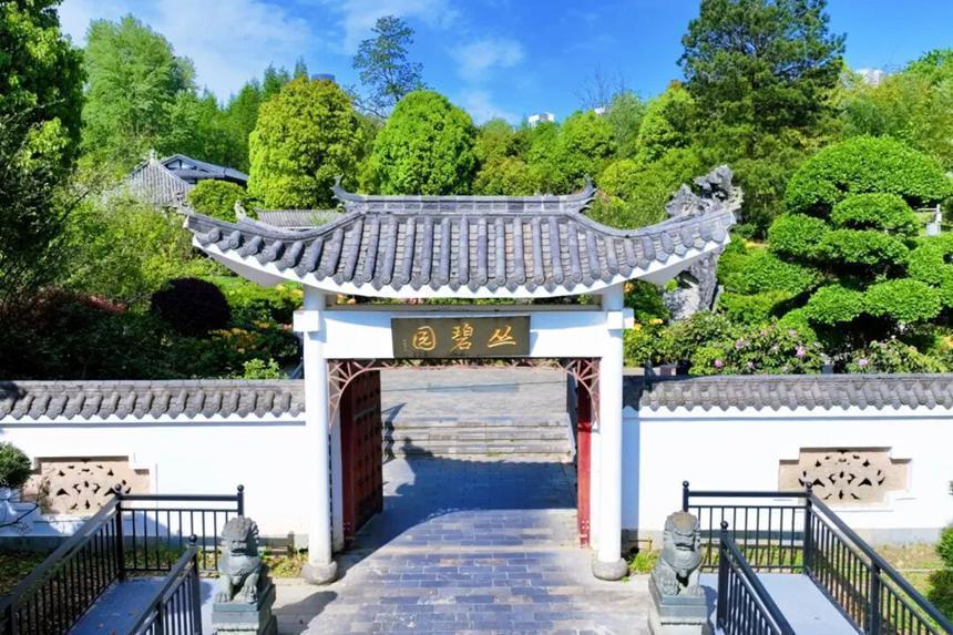  观山湖“莫奈花园”的园艺密码：60余种杜鹃如何编织春日画卷 文化旅游 观山湖“莫奈花园”的园艺密码：60余种杜鹃如何编织春日画卷 文化旅游