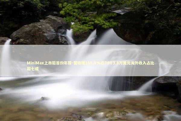 MiniMax上市后首份年报-营收增158.9%达7903.8万美元海外收入占比超七成