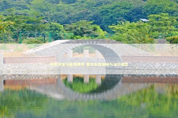 中东冲突与能源博弈 霍尔木兹海峡与油价悬念