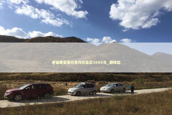 老铺黄金涨价克均价逼近3000元_趣味型