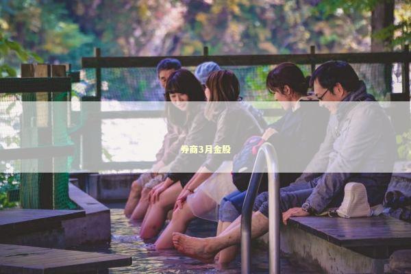 券商3月金股