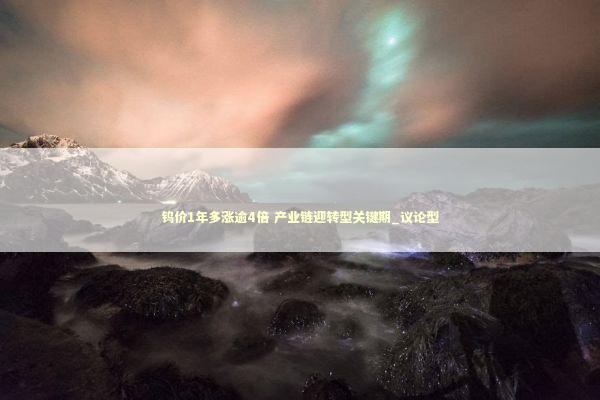 钨价1年多涨逾4倍 产业链迎转型关键期_议论型