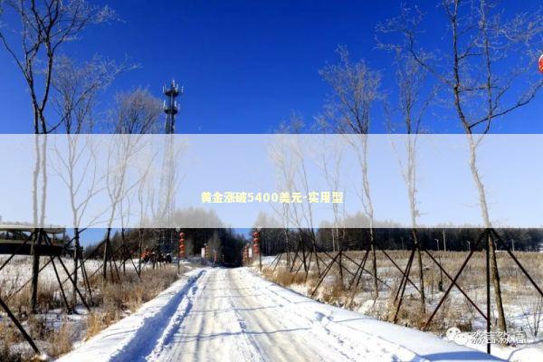 黄金涨破5400美元-实用型