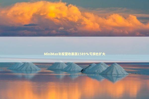 MiniMax年报营收暴涨1589%亏损也扩大