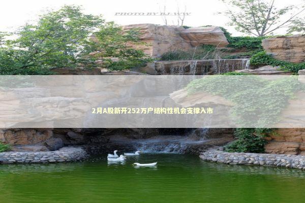 2月A股新开252万户结构性机会支撑入市