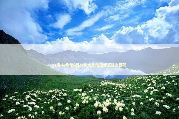 白酒市场结构性分化龙头估值修复机会显现