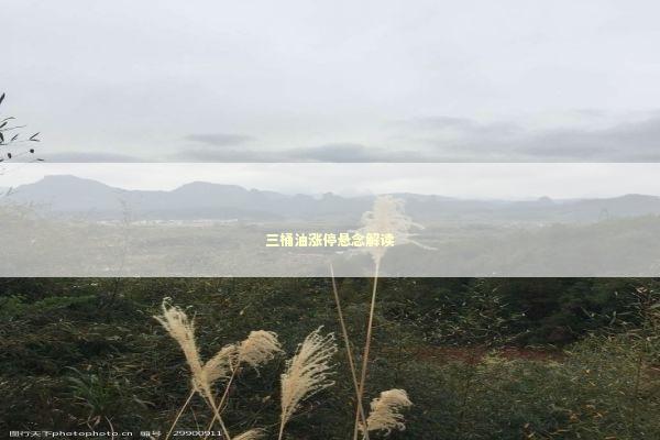 三桶油涨停悬念解读
