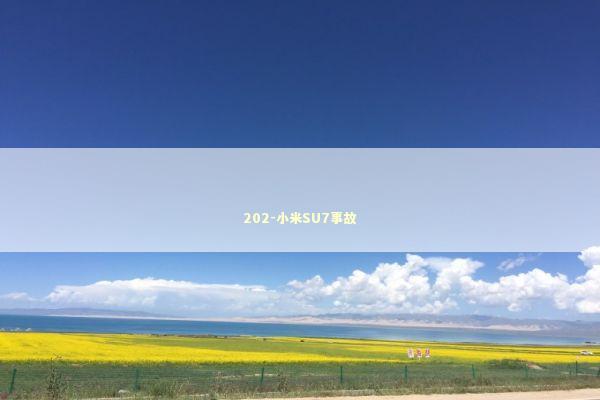 202-小米SU7事故