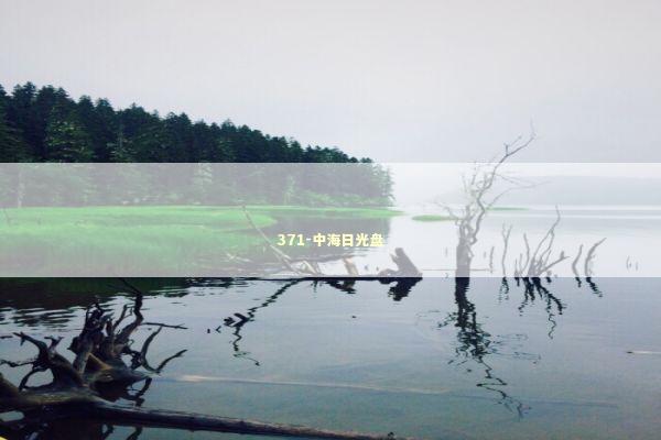 371-中海日光盘