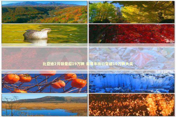 比亚迪2月销量超19万辆 乘用车出口突破10万辆大关