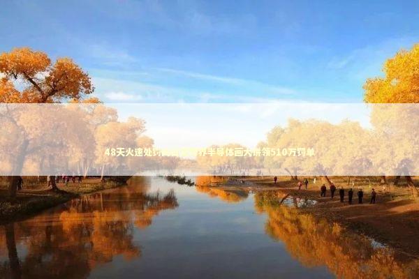 48天火速处罚向日葵跨界半导体画大饼领510万罚单