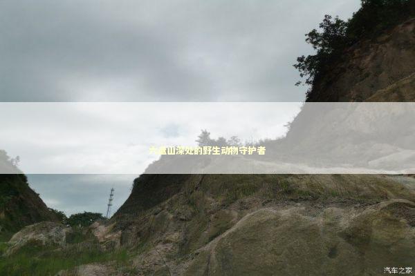 六盘山深处的野生动物守护者