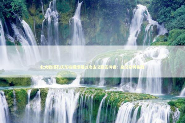 北大教授孔庆东被曝爆粗口攻击汉服支持者：皇汉杂种畜牲