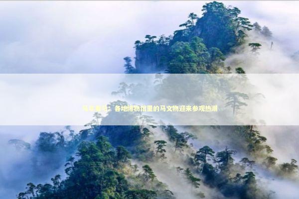 马年看马：各地博物馆里的马文物迎来参观热潮