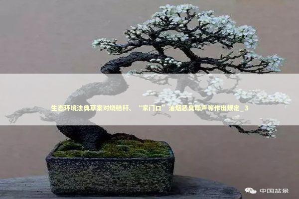 生态环境法典草案对烧秸秆、“家门口”油烟恶臭噪声等作出规定_3