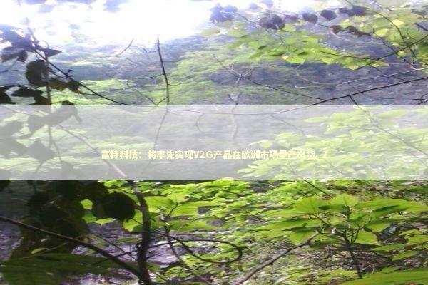 富特科技：将率先实现V2G产品在欧洲市场量产出货_2