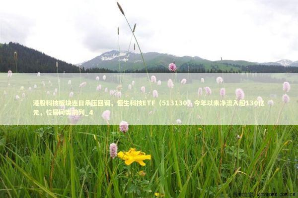 港股科技板块连日承压回调，恒生科技ETF（513130）今年以来净流入超130亿元，位居同类前列_4
