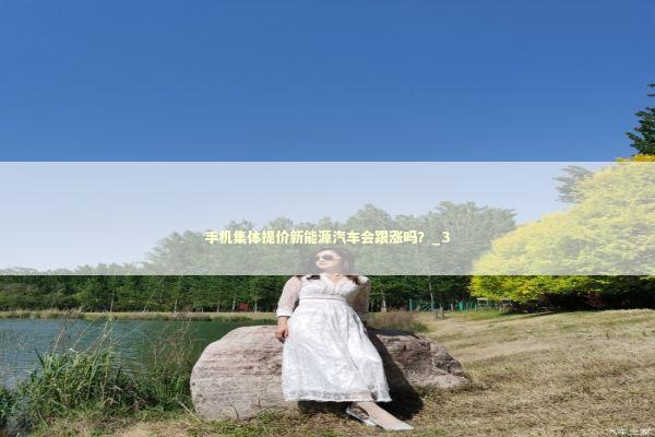 手机集体提价新能源汽车会跟涨吗？_3