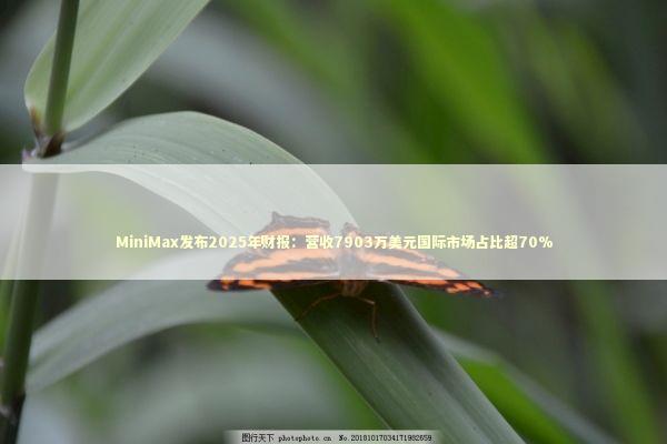 MiniMax发布2025年财报：营收7903万美元国际市场占比超70%