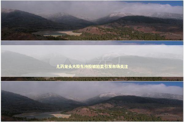 儿药龙头大股东持股被拍卖引发市场关注