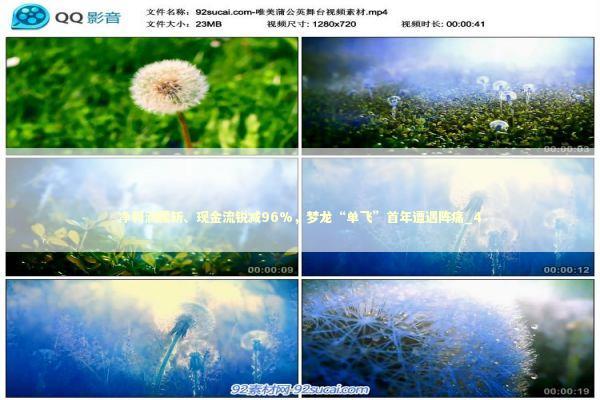 净利润腰斩、现金流锐减96%，梦龙“单飞”首年遭遇阵痛_4