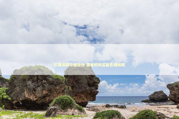 公募调研节奏加快 跟着机构买能否赚钱呢