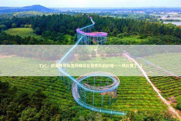 TyC：欧美杯可能是阿根廷在世界杯前的唯一一场比赛了_1