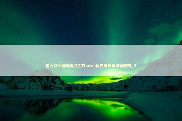 借力欧洲国防新资金Thales优先降债再谋新收购_3