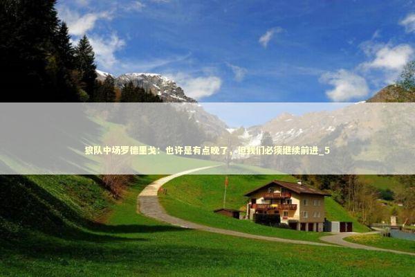 狼队中场罗德里戈：也许是有点晚了，但我们必须继续前进_5