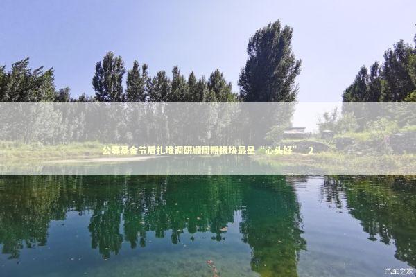 公募基金节后扎堆调研顺周期板块最是“心头好”_2