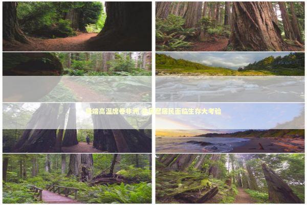 极端高温席卷非洲 贫民窟居民面临生存大考验
