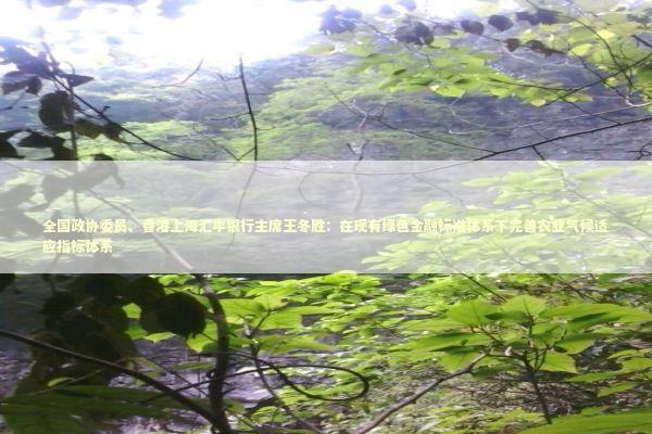 全国政协委员、香港上海汇丰银行主席王冬胜：在现有绿色金融标准体系下完善农业气候适应指标体系