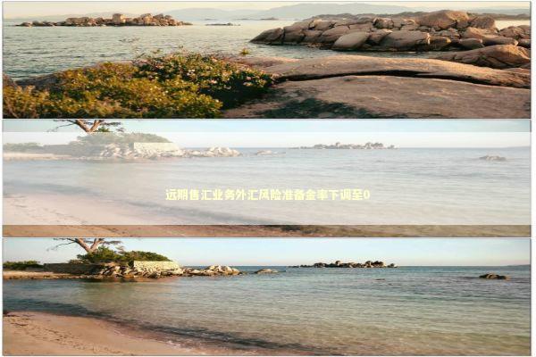 远期售汇业务外汇风险准备金率下调至0