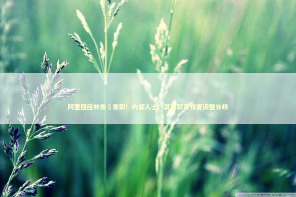 阿里回应林俊旸离职！内部人士：其离职系权责调整分歧