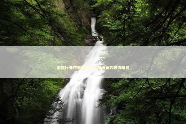 消费行业传来好消息：市场复苏态势明显