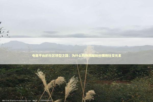 电商平台的社区转型之路：为什么购物网站纷纷拥抱社交元素