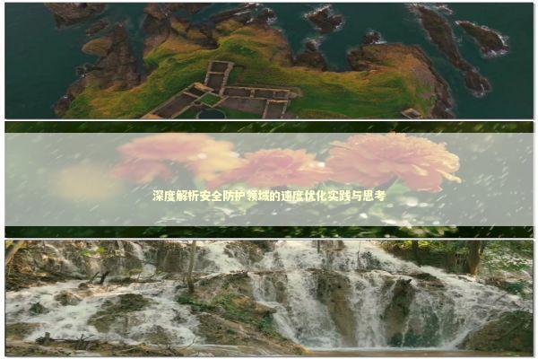 深度解析安全防护领域的速度优化实践与思考