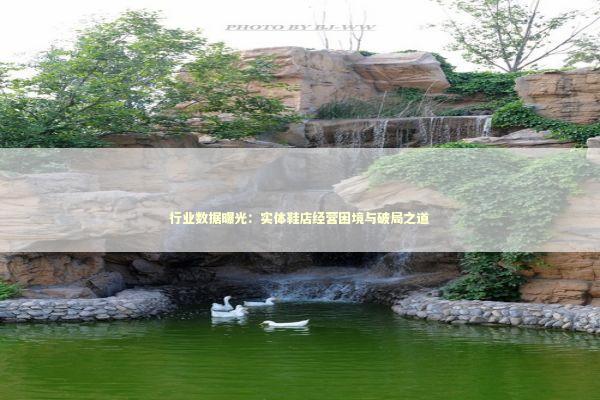 行业数据曝光：实体鞋店经营困境与破局之道